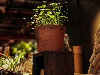 vintage-decor-6875830_1280